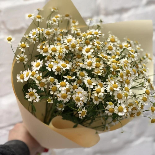 Букет-комплимент «Ромашки для любимой»
