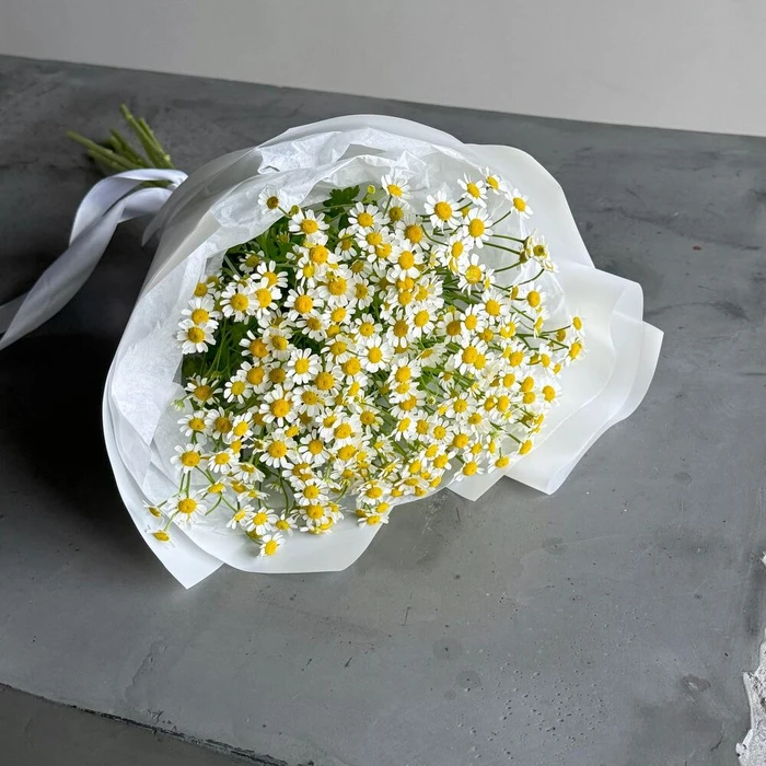 Полевой букет голландская ромашка матрикария | Provans